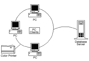 network
